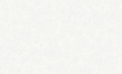 Обои виниловые на флизелиновой основе