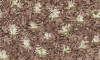 B8103 RW