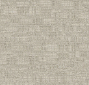 Alessandro Allori Bruni RBN1003-12 для кухни для спальни для гостиной для коридора для кабинета для загородного дома для комнаты для прихожей серый светло-серый серо-бежевый