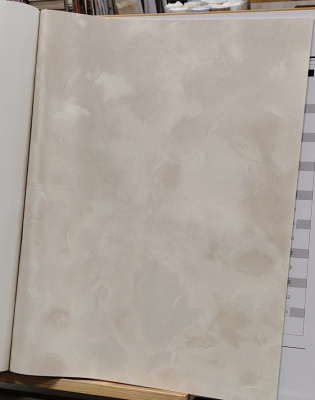 Обои виниловые на флизелиновой основе