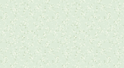 Обои виниловые на флизелиновой основе