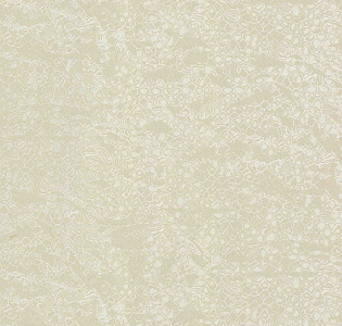Emiliana Parati Roberto Cavalli Home 8 RC19037 для кухни для спальни для гостиной для кабинета для загородного дома для комнаты бежевый белый