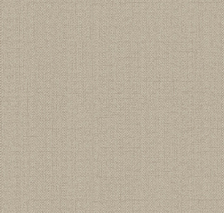 RBN1002-25 Alessandro Allori Bruni RBN1002-25 для кухни для спальни для гостиной для коридора для кабинета для загородного дома для комнаты для прихожей бежевый серо-бежевый