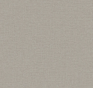 Alessandro Allori Giorgio RGI1008-3 для кухни для спальни для гостиной для коридора для кабинета для загородного дома для комнаты для прихожей серый светло-серый