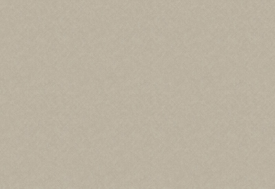 Обои виниловые на флизелиновой основе