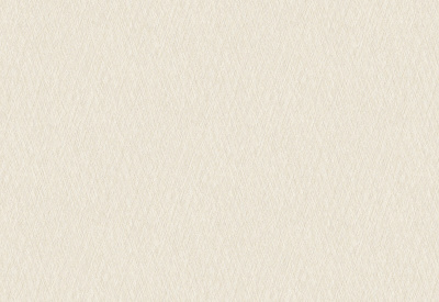 Обои виниловые на флизелиновой основе