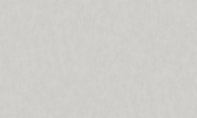 Обои виниловые на флизелиновой основе