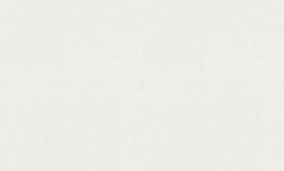 Обои виниловые на флизелиновой основе
