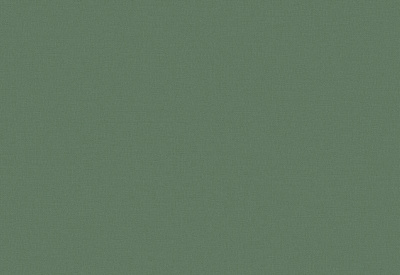 Обои виниловые на флизелиновой основе