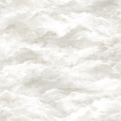 RWA2601-5 Обои виниловые на флизелиновой основе