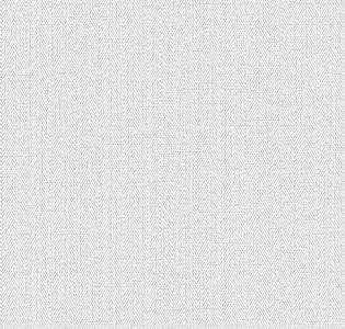 RBN1002-31 Alessandro Allori Bruni RBN1002-31 для кухни для спальни для гостиной для коридора для кабинета для загородного дома для комнаты для прихожей серый светло-серый