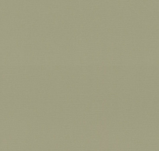 Rasch Allegretto 692709 для кухни для спальни для гостиной для коридора для кабинета для загородного дома для комнаты для прихожей зеленый оливковый