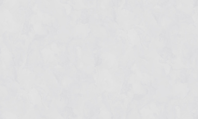 Обои виниловые на флизелиновой основе