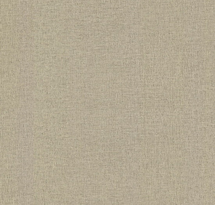 Decori&Decori Zen 72921 для кухни для спальни для гостиной для коридора для кабинета для загородного дома для комнаты для прихожей бежевый капучино золотой