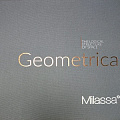 Geometrica