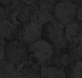 Zambaiti Parati Philipp Plein 2 Z81025 для кухни для спальни для кабинета для загородного дома для комнаты для прихожей черный