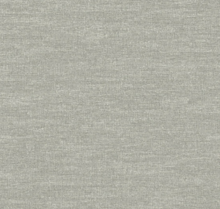 AdaWall Toros 1113-5 для кухни для спальни для гостиной для коридора для кабинета для загородного дома для комнаты для прихожей серый