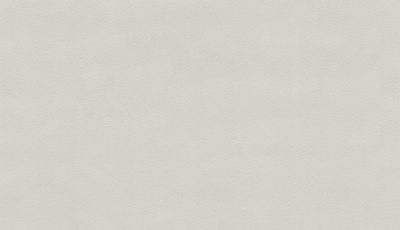 Обои виниловые на флизелиновой основе