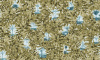 B8104 RX