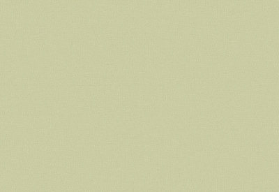 Обои виниловые на флизелиновой основе