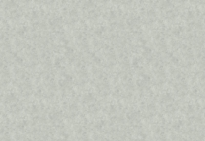 Обои виниловые на флизелиновой основе