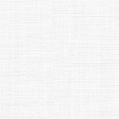 Обои виниловые на флизелиновой основе