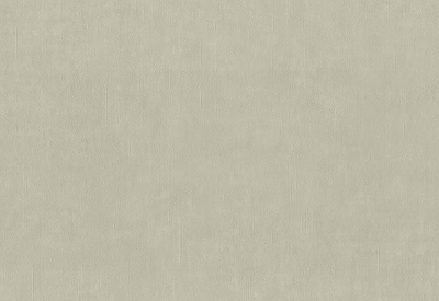 Обои виниловые на флизелиновой основе