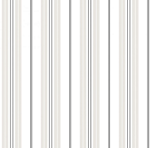 Aura Smart Stripes G23192 для кабинета для загородного дома для комнаты для прихожей черно-белый