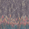 AF2082-COL2