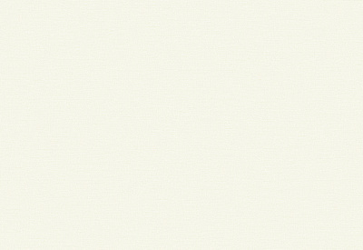 Обои виниловые на флизелиновой основе