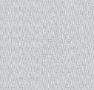 RBN1002-32 Alessandro Allori Bruni RBN1002-32 для кухни для спальни для гостиной для коридора для кабинета для загородного дома для комнаты для прихожей серый светло-серый