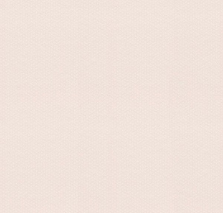 Rasch Textil Petite Fleur 4 288857 для спальни для гостиной для загородного дома для комнаты кремовый
