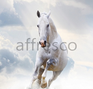 Affresco Фрески и фотообои ID10769