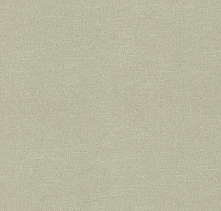 Rasch Chatelaine II 955538 для кухни для спальни для гостиной для коридора для кабинета для загородного дома для комнаты для прихожей зеленый
