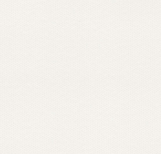 Rasch Textil Petite Fleur 4 288802 для спальни для гостиной для загородного дома для комнаты белый