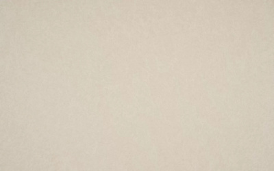 Обои виниловые на флизелиновой основе