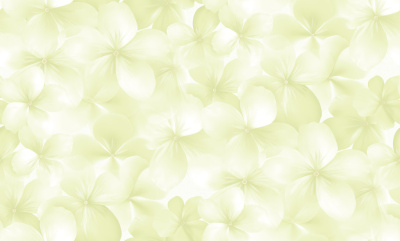 Обои виниловые на флизелиновой основе