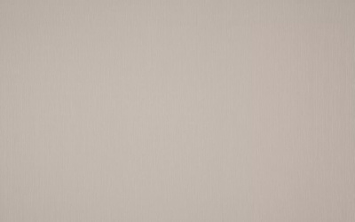 Обои виниловые на флизелиновой основе