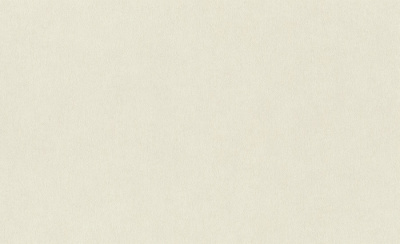 Обои виниловые на флизелиновой основе