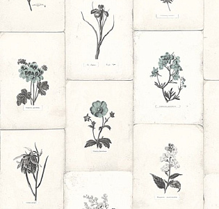 Paper Partnership University of Oxford Archives II WP0090904 для спальни для гостиной для загородного дома для комнаты светло-серый