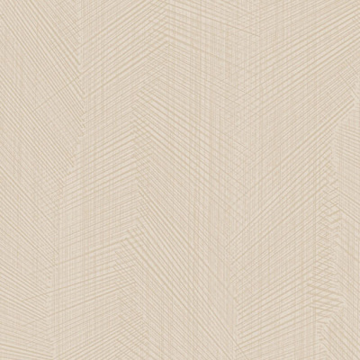 Z54542