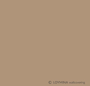 Loymina Clair BQ7 002/2 для спальни для гостиной для кабинета для загородного дома для комнаты для прихожей коричневый