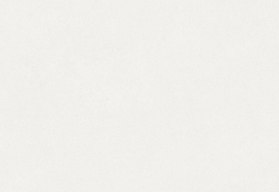 Обои виниловые на флизелиновой основе