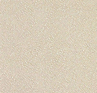 Zambaiti Parati Trussardi 3 3437 для спальни для загородного дома для комнаты бежевый