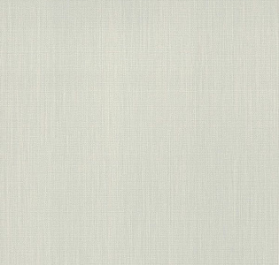 Rasch Barbara 527285 для кухни для спальни для гостиной для коридора для кабинета для загородного дома для комнаты для прихожей серый светло-серый