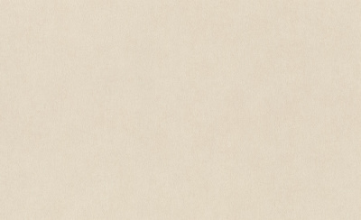 Обои виниловые на флизелиновой основе