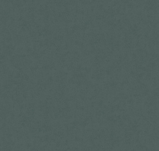 Aura Nordic Elegance 630427 для кухни для детской для спальни для гостиной для коридора для кабинета для офиса для столовой для загородного дома для комнаты для прихожей зеленый