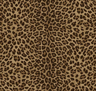 Zambaiti Parati Philipp Plein 2 Z81029 для спальни для загородного дома для комнаты бежевый коричневый