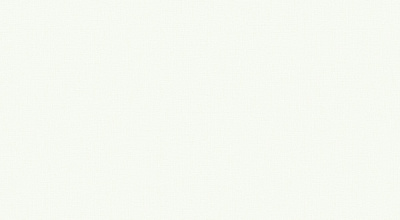 Обои виниловые на флизелиновой основе