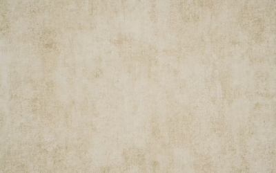 Обои виниловые на флизелиновой основе